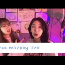 Tones And I-Dance Monkey live 아샤트리 이미지