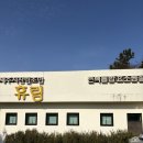 영덕편백효소찜질 | 제주 공항 근처 마지막 날 코스｜휴림 효소찜질, 갈치튀김, 이호테우 해수욕장