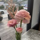 오월쉼표 이미지