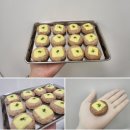 똘멍이네 | 애견 수제간식 추천 똘멍이네 후기