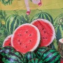 남양영재어린이집 이미지