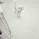 어서왈왈 이미지