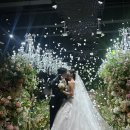 플래너 없이 결혼하기(11) 테라리움 서울 본식 솔직후기 🤵🏻‍♂️👰🏻‍♀️ / 뷔페, 주차 후기