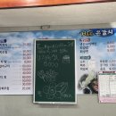 거문도은갈치