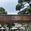 [장충동/콘드에뻬뻬] 프렌치토스트, 단호박스프, 엔초비파스타 후기