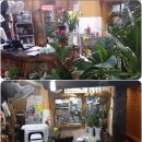 밤골식당 이미지