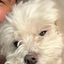 킨더그루밍 이미지