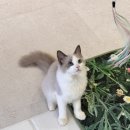 마리앤쥬 이미지