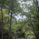 백운면사무소 | [캠핑] 덕동리 301 A04 사이트 내돈내산 후기