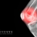 가자연세병원 이미지