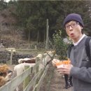 재석농장 이미지