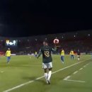 미겔리또 이미지