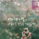에이비쥬 네이버블로그