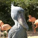 찬이농장 이미지