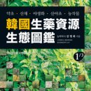 식물도감 이미지