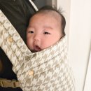 투스 | 루루루드림 M자다리 신생아아기띠추천 올인원 하운드투스 화이트 후기
