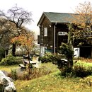 동강의낙원 이미지