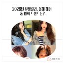 2026년 유행컬러, 올해 헤어 &amp; 염색 트랜드는?