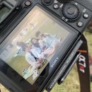 배떡감삼점 이미지