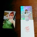 모모셀