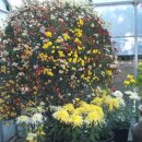 삼익공인중개사사무소 이미지