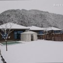 풀스테이스테이펫홍천 이미지