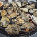 내고향 마차 이미지