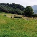 옥룡사지 이미지