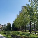 동진기사식당 이미지