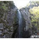 구미봄협동조합