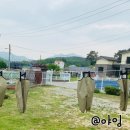 시고르하우스 이미지