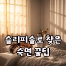 솔솔가 | 슬리피솔 후기, 수면균형조절제 원리와 가격 확인 후 정착한 방법