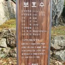 2024.12.25.오랜만에 연터로...12.01. 해남 자전거 대회갔다가 고하도 연터와 대흥사 사진...NO.5... 이미지