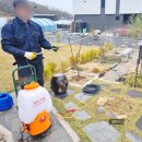 No.1 천하태권도장 | 농약 분무기 추천! 농천하 충전식 고압 자동 분사기 찐후기