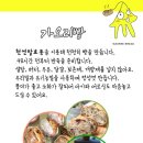 느티숲사회적협동조합