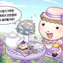 쁘띠 프로방스 이미지