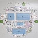 종합운동장로 | 사직실내수영장 일일입장 자유수영 후기