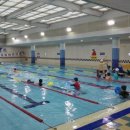 덕업관어린이수영장 이미지