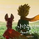 서귀포여자중학교 이미지