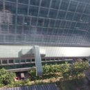 트램폴린오피스 이미지