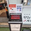 애국돼지