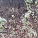 연희네집 이미지