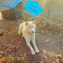 창기농장 이미지