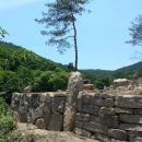 돌담농장 이미지