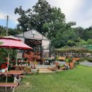 밀물민박 이미지