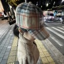 맹수남 네이버블로그