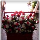 월촌초교 이미지