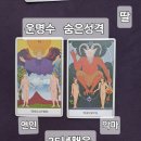 연화타로앤네일