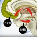퇴근후커피