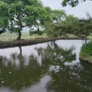 이유 정려각 이미지